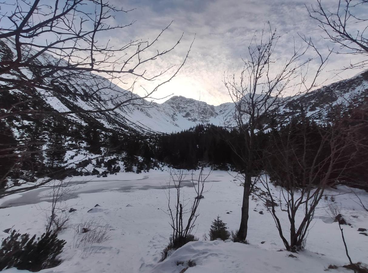 Western Tatras Slovakia Oravsky Biely Potok Luaran gambar