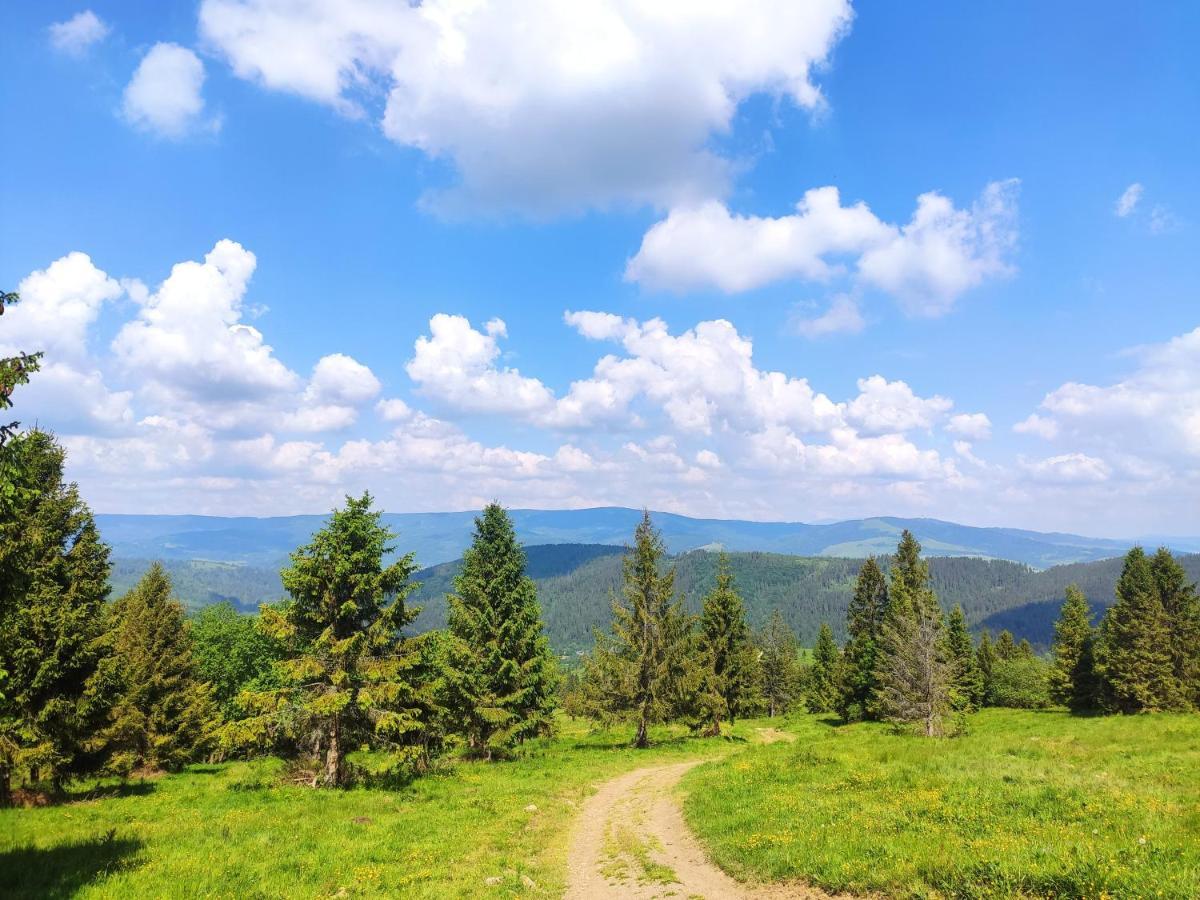 Western Tatras Slovakia Oravsky Biely Potok Luaran gambar